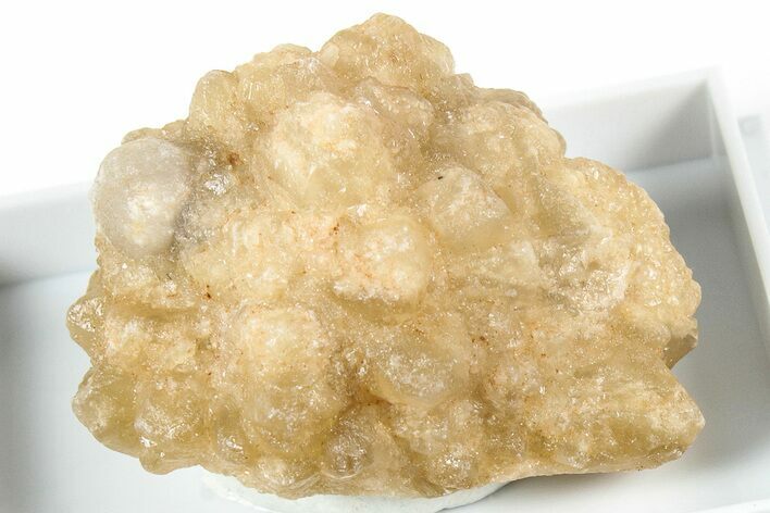 Citrine Quartz Star Pseudomorph after Ikaite - Morocco #317250